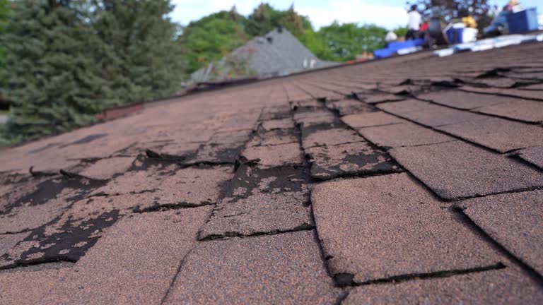 Best Storm Damage Roof Repair  in Thomasville, GA